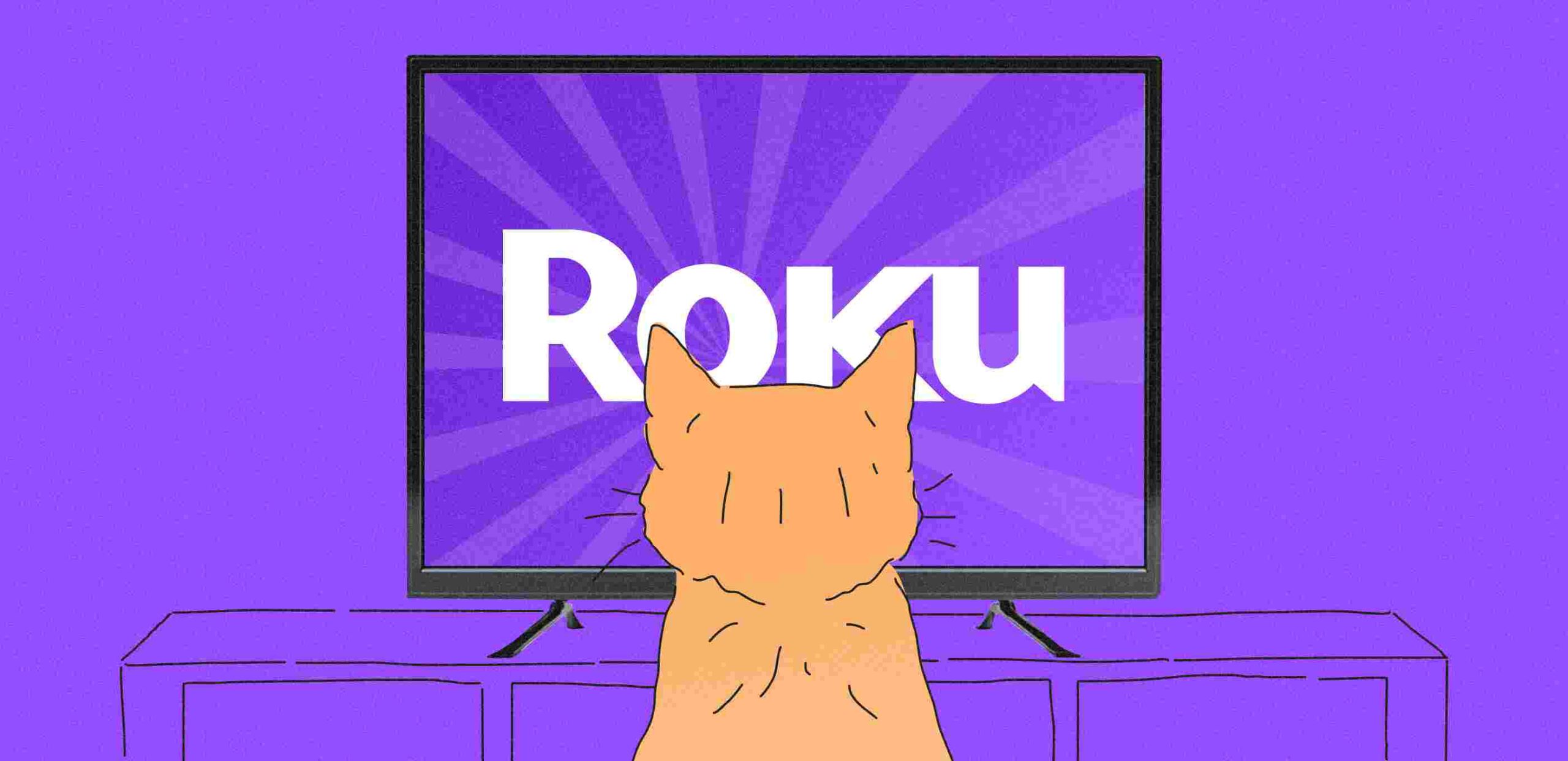 Roku Application Development